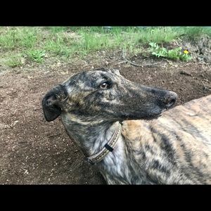 Meet your Posher, Iwona